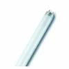 LEDVANCE Tube Fluo COLOR T8 58W/66 VERT G13 OSRAM 024288